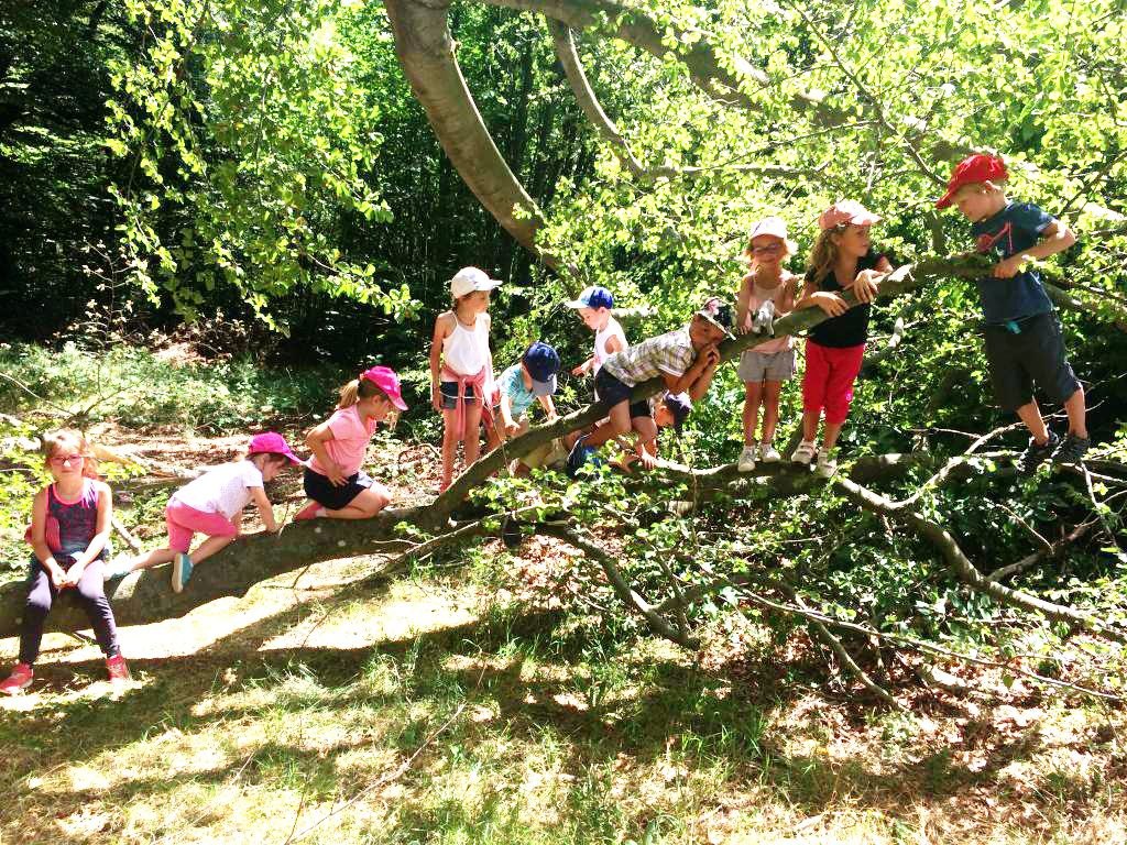 sejour scolaire ardeche classe decouverte nature verte Blaches sejour scolaire ardeche classe decouverte nature verte Blaches