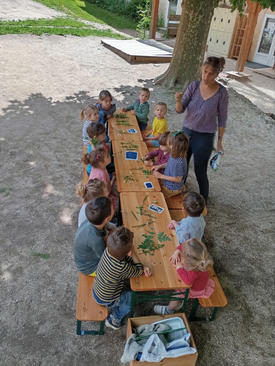 sejour scolaire ardeche classe decouverte nature verte Blaches sejour scolaire ardeche classe decouverte nature verte Blaches