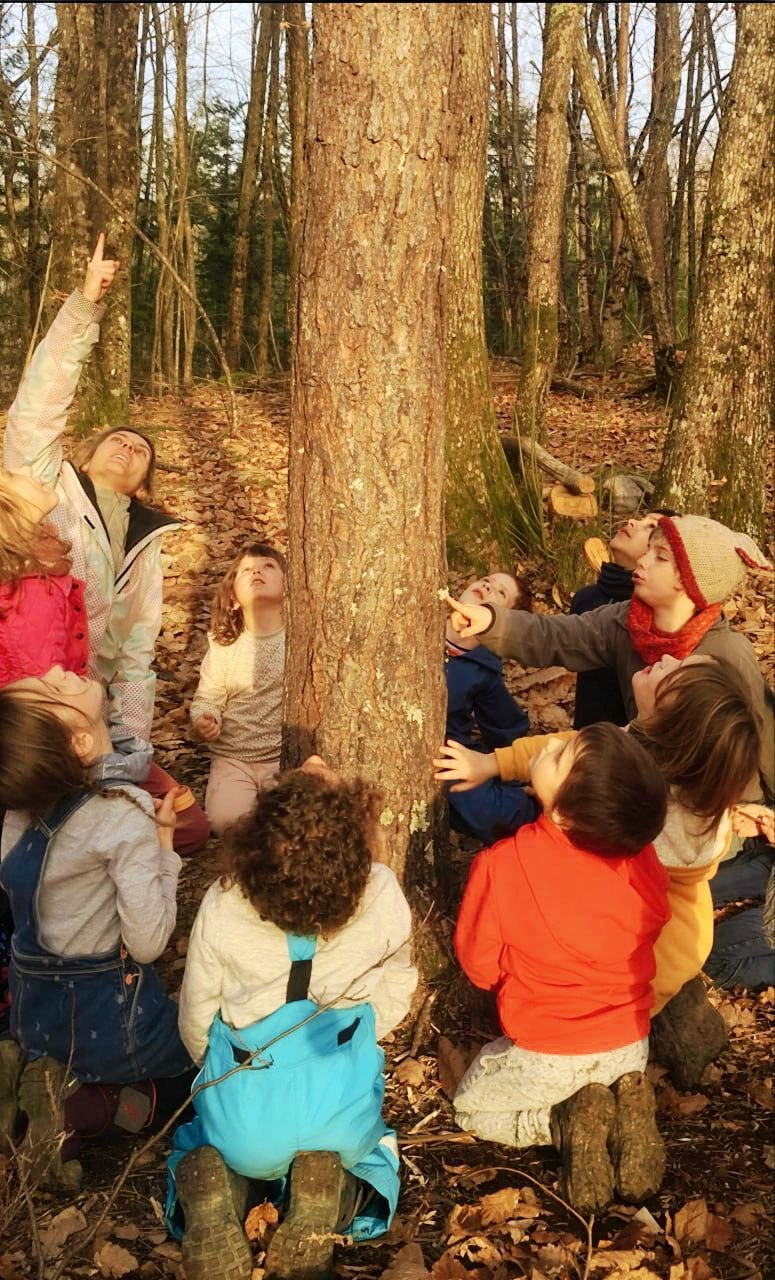 sejour scolaire ardeche classe decouverte nature verte Blaches sejour scolaire ardeche classe decouverte nature verte Blaches