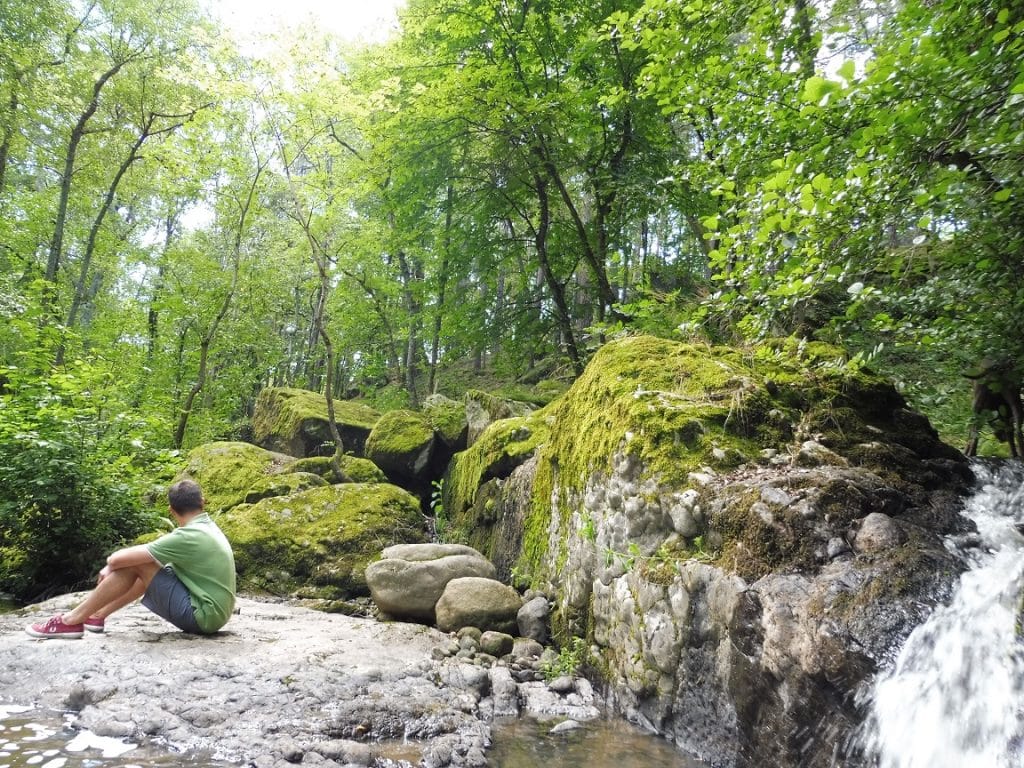 La forêt, à deux pas des chambres