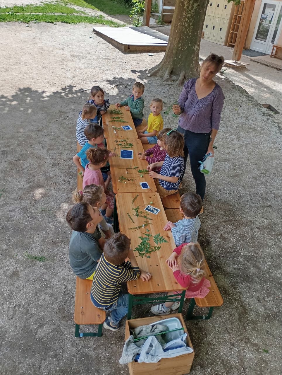 Séjour scolaire en Ardèche : l’éveil au cœur de la nature aux Blaches